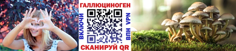 Псилоцибиновые грибы MAGIC MUSHROOMS  Купить закладки  Ржев 
